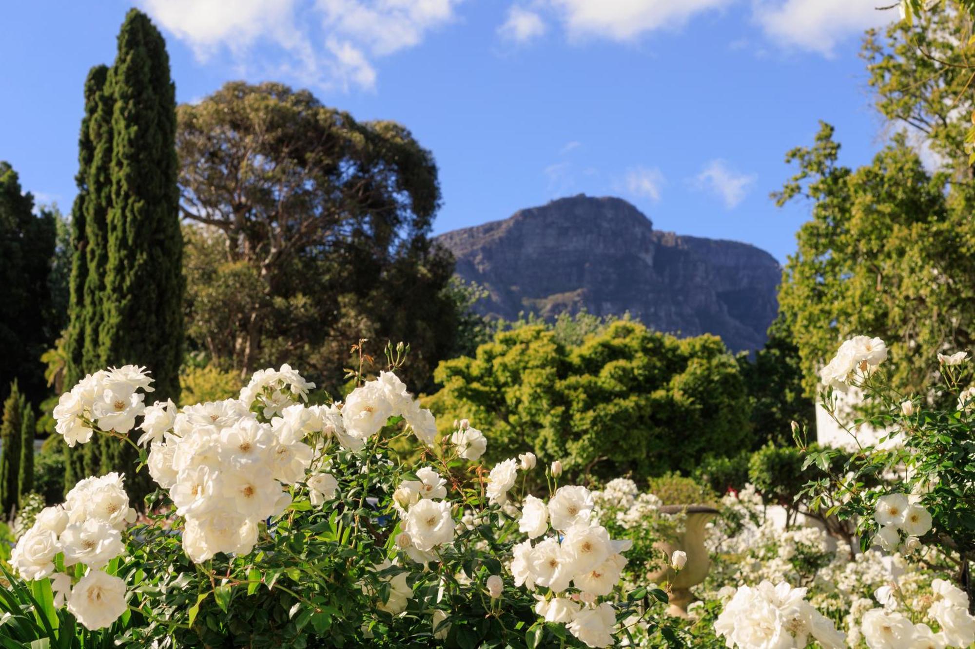 The Cellars-Hohenort Hotel Cape Town Luaran gambar
